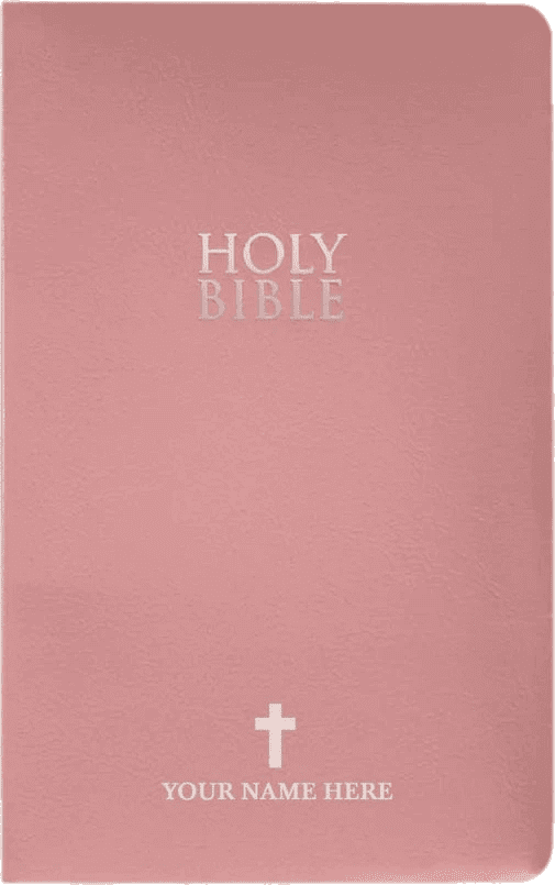 NIV Pink Standard Size Holy Bible Small Print